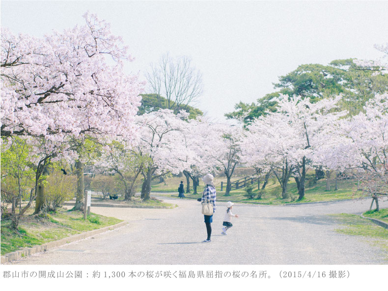 郡山市の開成山公園：役1,300本の桜が咲く福島県屈指の桜の名所（2015/4/16 撮影）