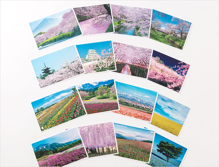 日本の絶景ポストカード ～春～ | いろは出版株式会社