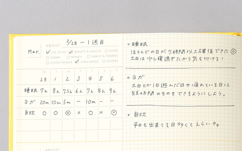 一週間ごとにできたことを振り返るREVIEWING LOGページ