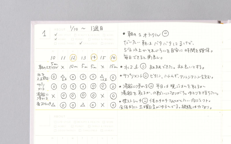 一ヶ月を振り返るREVIEWING LOGページ