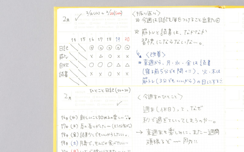 一ヶ月を振り返るREVIEWING LOGページ